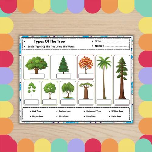 Types Of The Tree Worksheets & Activities | Nature & Earth Science Activity