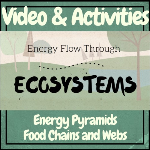 Preview of Ecosystems: Energy Flow Pyramids, Food Chains and Webs Video & Activities Kit