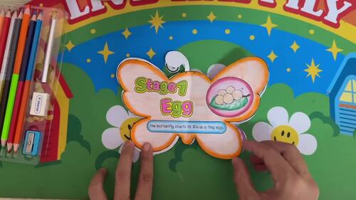 Life Cycle of a Butterfly 3D Craft | Cut & Paste Spring Science Activity