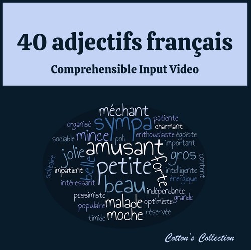 Preview of French Adjective Listening Comprehension