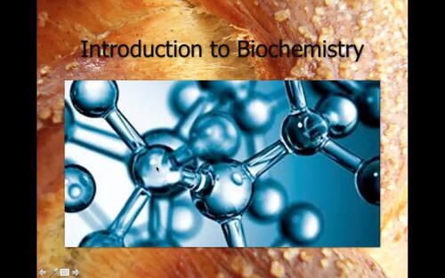 Preview of Biology Lecture Video/Intro to Biochemistry /Flipped Classroom/Edpuzzle Ready