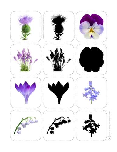 Flower Matching Cards, Spring Activities, Memory Match Game