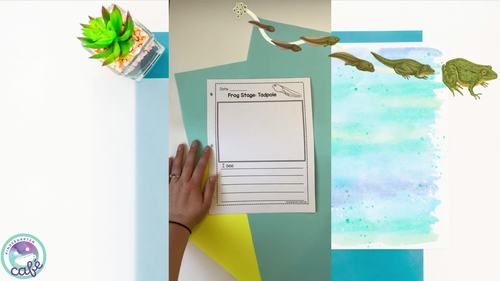 Frog Life Cycle BUNDLE! by Kindergarten Cafe | TPT
