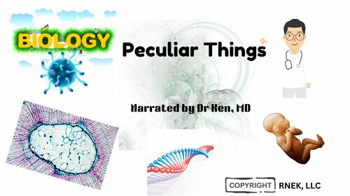 Preview of Video: Intro to Biology: Let Dr. Ken MD Lesson Studysheet & Easel Quiz!