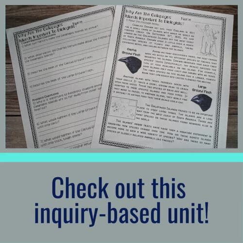 Natural Selection & Evolution Activities: MS-LS4-4 & MS-LS4-6 Unit & Escape Room