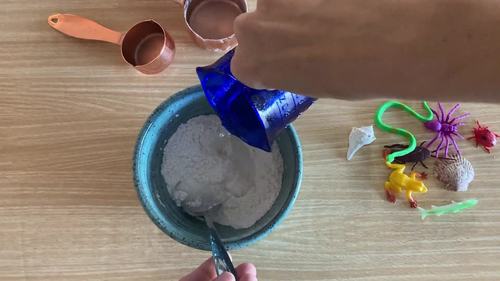 Make a Mold Fossil Science Experiment PRINT and DIGITAL | TPT