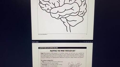 Art & Science: Anatomy, parts of the brain, functions, label, coloring ...