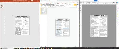 Endocrine System Homework Review Worksheet Test Prep Google