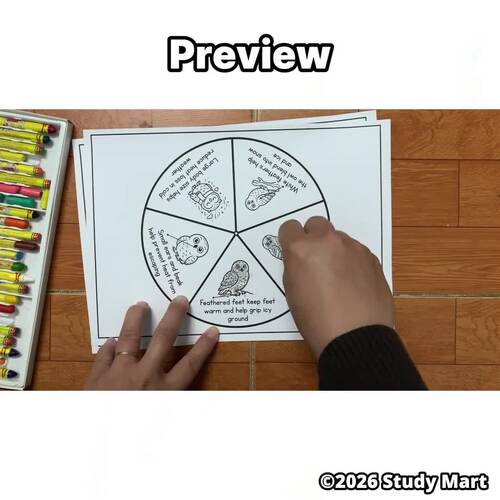 Snowy Owl Adaptations Spinner | Arctic Animal Science Craft by Study Mart