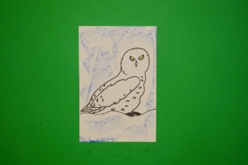 Preview of Let's Draw a Snowy Owl-Tundra animals!