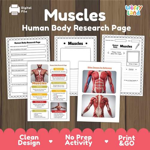 Muscles Human Body Research Project | Muscular System Science ...