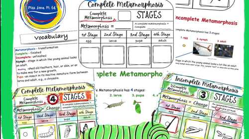 Complete and Incomplete Metamorphosis SC.4.L.16.4 and NGSS Lesson by ...