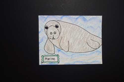 Let's Draw a Manatee in a Marine Biome! by Patty Fernandez Artist