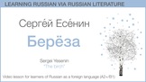 Sergey Yesenin "Birch": Learning Russian Language via Lite