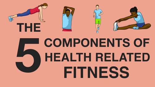 Preview of The 5 Components of Health Related Fitness - A Video Overview