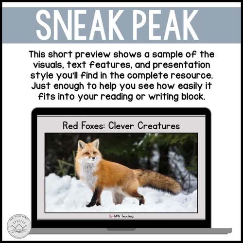 Red Fox Nonfiction Book by MW Teaching Resources | TPT