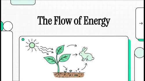 Preview of Flow of energy grade7 NGSS MS-LS2-3 standard
