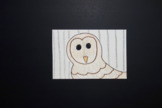 Let's Draw a Barn Owl!