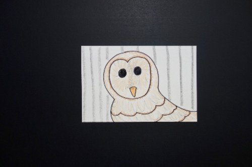 Preview of Let's Draw a Barn Owl!