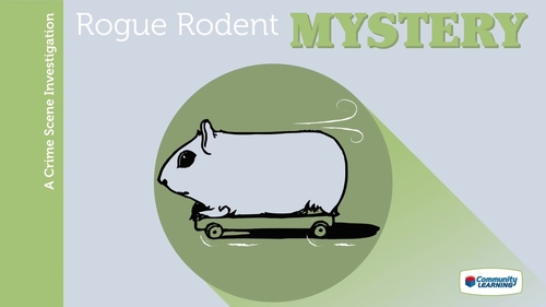 Preview of Rogue Rodent Introductory Video