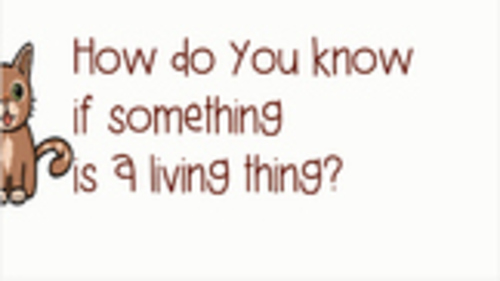 Preview of Living and Non Living Things Video Review