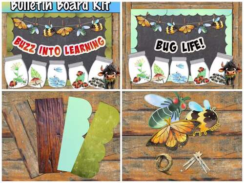 Bug Bulletin Board Kit Spring Theme Bug Theme Identify Bugs | TPT