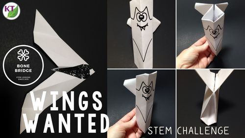 Preview of Halloween Bat STEM Challenge Video: Wings Wanted