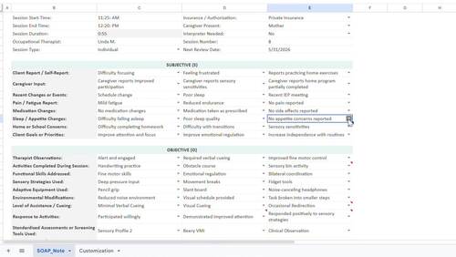 Occupational Therapy SOAP Note Generator | OT Documentation Google Sheets