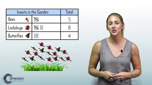 interpret-create-tally-charts-by-cohesion-education-tpt