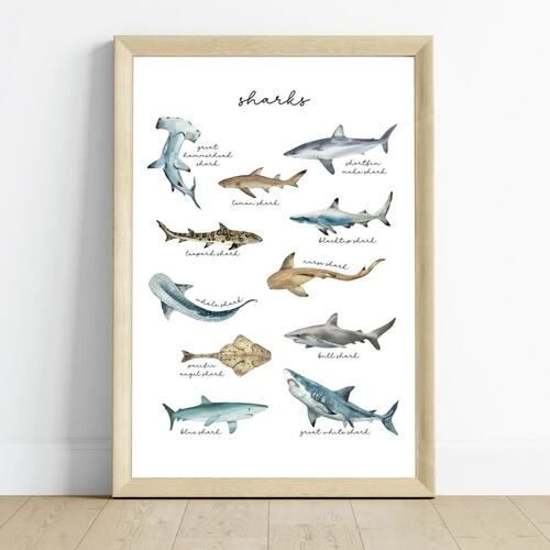 Whales, Dolphins & Sharks Sea Animals Watercolor Science Printable