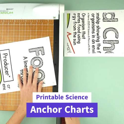 Food Chains Science Anchor Chart Poster & Collage Print | TPT