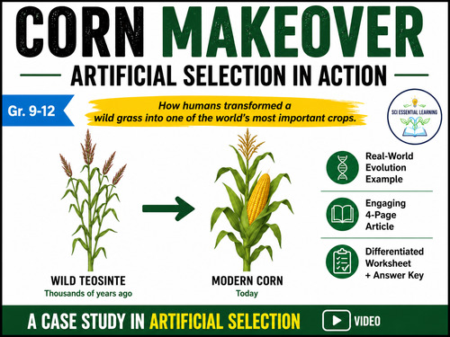 Preview of Artificial Selection VIDEO: How Teosinte Evolved into Modern Corn Case Study