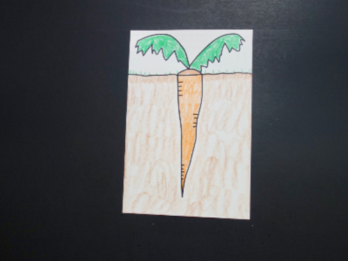 Preview of Let's Draw a Carrot Above - Below!