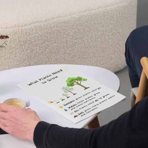 Science of Plants Activity Bundle | SEN & Dyslexia | Grades 1–4 | TPT