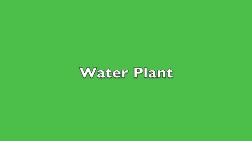 Preview of Video Model + Data Sheet - Water Plant #2