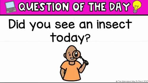 Insects Study Question Posters and Digital Slides