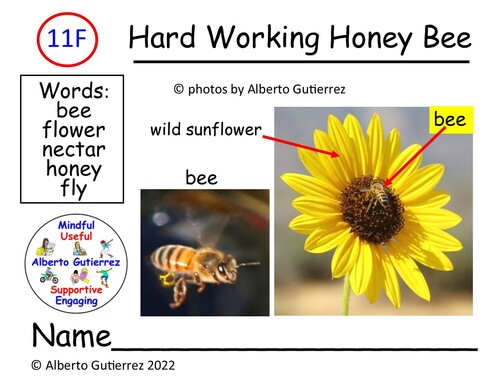 Preview of Read Aloud Video Hard Working Honey Bee #11F