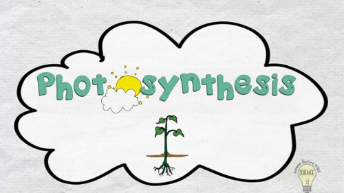 Preview of Vocabulary Cartoon: Photosynthesis