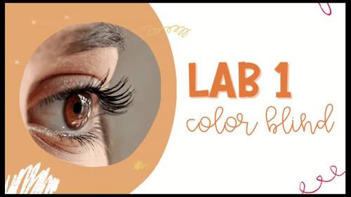 Sensation & Perception Labs (Worksheet Included) *Editable by Loosli ...