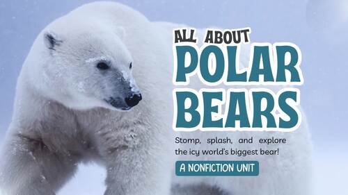 Preview of Polar Bear Day Presentation l Questions & Answers