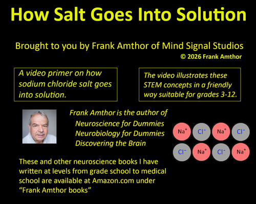 Preview of How Salts for Neural Transmission Go Into Solution