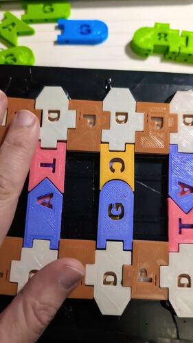3D Printable DNA / RNA Tile Lab, Including Spanish & Answer Key!