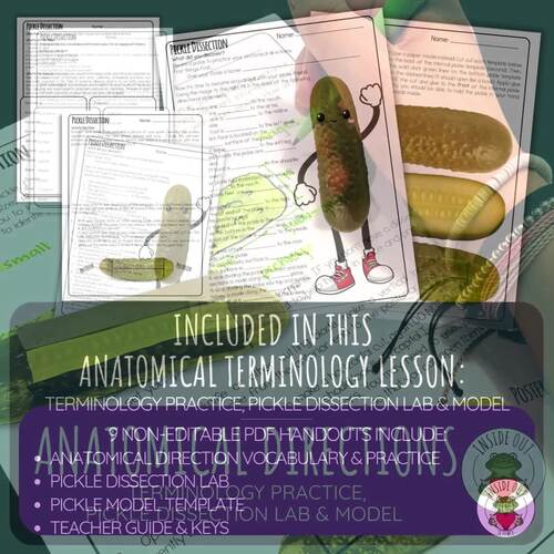 Anatomical Directions | Pickle Dissection | Biology 3-D Paper Model ...