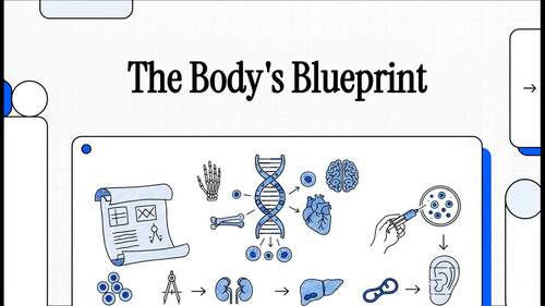 Preview of Stem Cell & Engineering Tissue - Explanation Video!