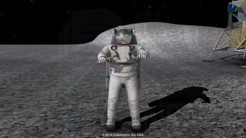 Preview of Freefall Using Kinematics Equations-High Quality 3D animated Video and PDF