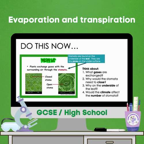 Evaporation and transpiration (GCSE) by CMGs Science lessons | TPT