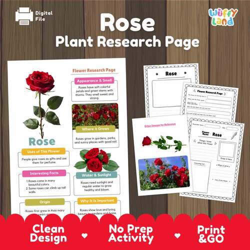 Rose Flower Research Project | Informational Writing Graphic Organizers ...