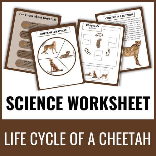 Life Cycle of a Cheetah Worksheet- Animal Science Unit Study With Fun ...