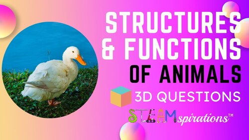 Preview of How Structures and Functions Help Animals and plants