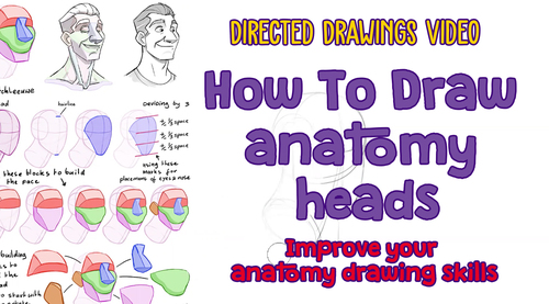 Preview of How to draw anatomically accurate heads step Improve your anatomy drawing skills